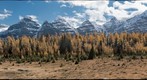 Larch Valley