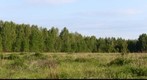Fields with abandoned playground