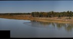 Missouri River - Wolf Point, Montana