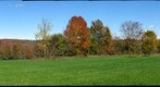 LUTHER'S HILL FARM, GREENSBORO, VERMONT, USA