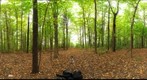 Dairy Bush GigaPan - 58 - Oct 05 2010