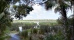 View at Little Saint Simons Island, Georgia.