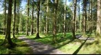 Gougane Barra Forest Park