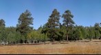 Hart Prairie Preserve - The Nature Conservancy (1 of 2)