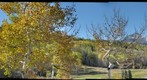 Fall In The Mountains