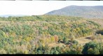 Mount Greylock from Bee Hill, Upper Lookout
