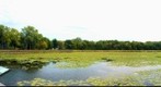 Minnehaha Headwaters