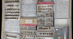 Diprionidae 2 &amp; Tenthredinidae 1