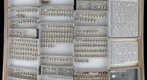 Braconidae 10