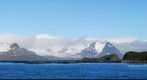 Prion Island South Georgia