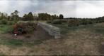 PartofUKArboretum