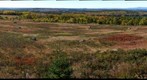 Catapillar Hill Vista