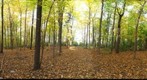 Dairy Bush GigaPan - 59 - Oct 13 2010