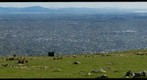 Yet Another Port Hills View