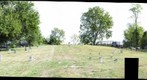 Locust Grove 2