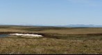 By the Kotzebue Wind Farm 