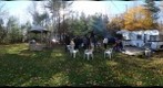 Famille a Laval