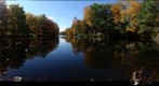 A Cove on Estes Lake - Mouse Lane, Alfred, Maine