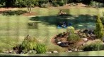 Duke Garden (Stitch with merging)