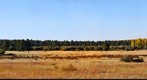 Hart Prairie Preserve Meadowlands - The Nature Conservancy (2 of 2)
