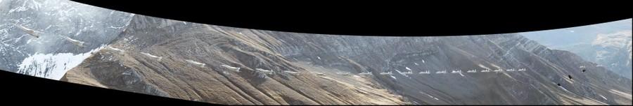 62281-900x152