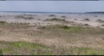 Bruce Peninsula - Singing Sands