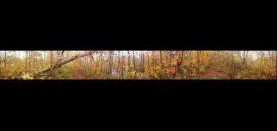 62349-400x189