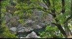 Swimming Hole