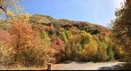 Autumn Leaves Road, Salt Lake City, Utah