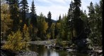 American River