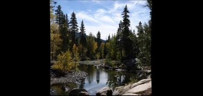 62535-400x189