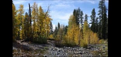 62538-400x189
