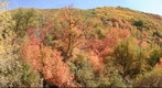 City Creek Road, Salt Lake City, Utah