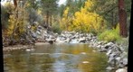 Wolf Creek