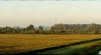 sun rise bemmel netherlands 