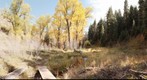Mountain Spring, Northern Utah