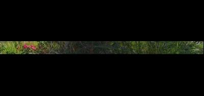 62713-400x189