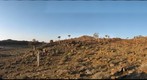 Quiver Trees in Namakwa with Vignette Correction
