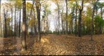 Dairy Bush GigaPan - 60 - Oct 20 2010