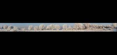 62814-400x189