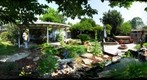 Tim's Backyard