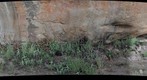 Pinnacle Rocks (Rock Art 1)