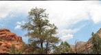 Sedona Red Rocks