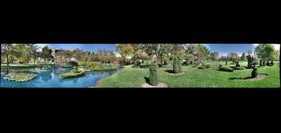 62901-400x189
