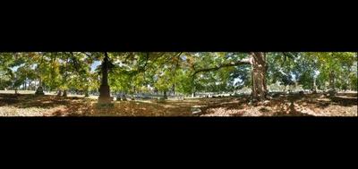 62931-400x189