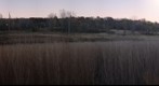 Purgatory Park