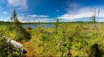 Pond of the Bears