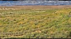 Gold Butte