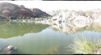 Northern Jaguar Reserve, Sonora -- Where's the Beef?