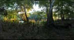 High Springs, Florida